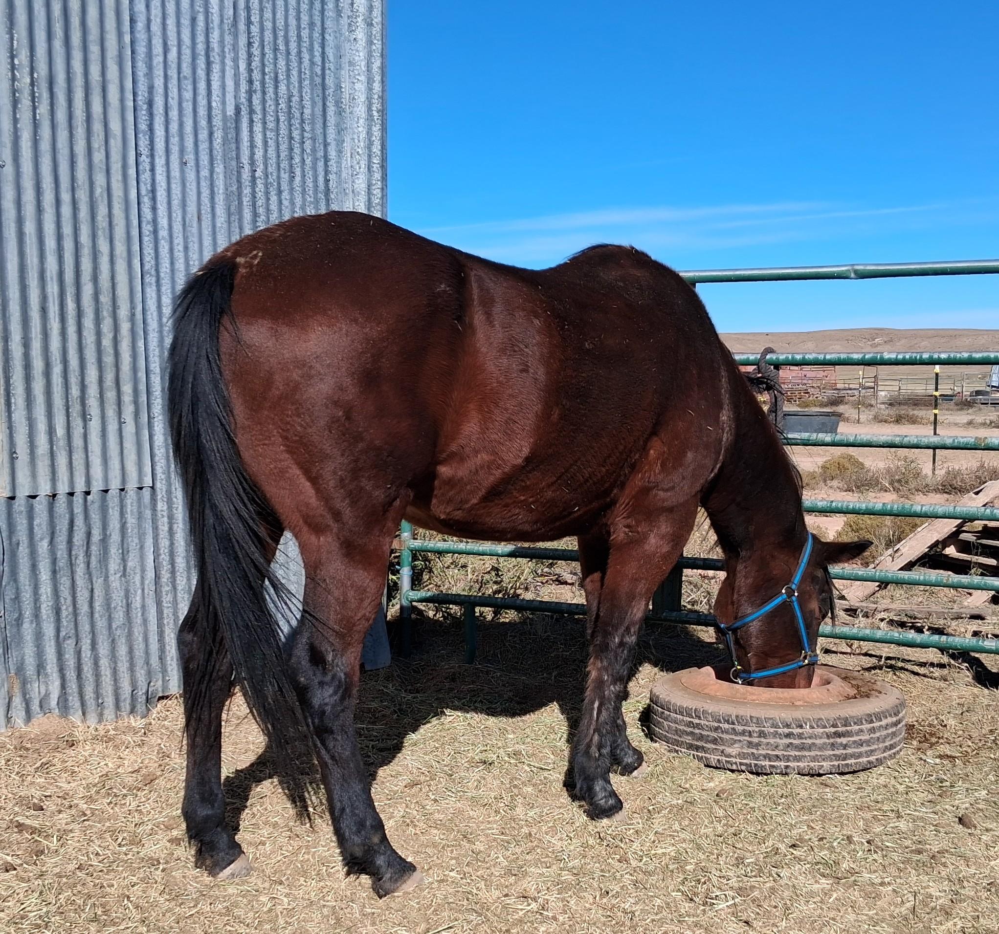 three-quarter-right-rear-eating-11-8-25