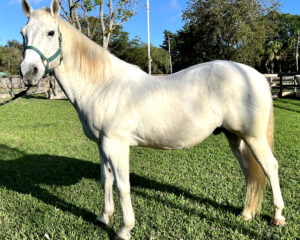 xstoneHero.jpg.pagespeed.ic_.8soeaDzNjX