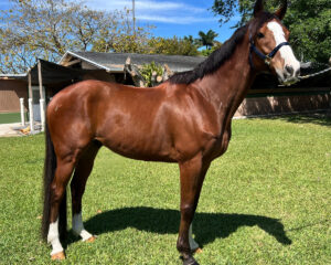 xvenHolidayHero.jpg.pagespeed.ic_.S81i5ChMjM