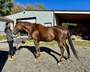 122c840d-af14-4ab2-bceb-2f1c909e7a7c