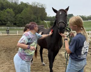 557085766_1220510703439044_446181837568254074_n