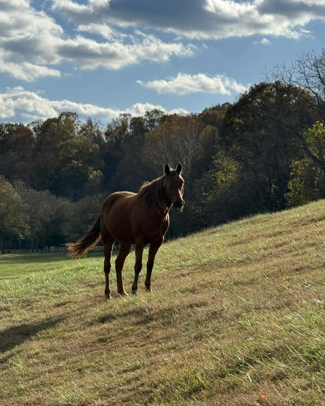 572377838_1248946753928772_4717944833665489427_n