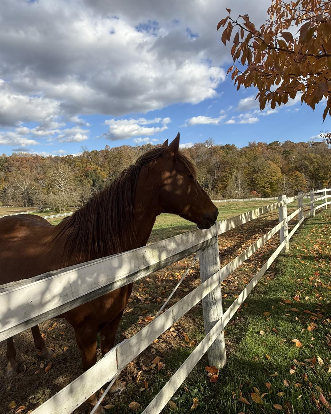 572867018_1248946783928769_3603702708407151845_n