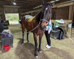 PXL_20250315_140727760