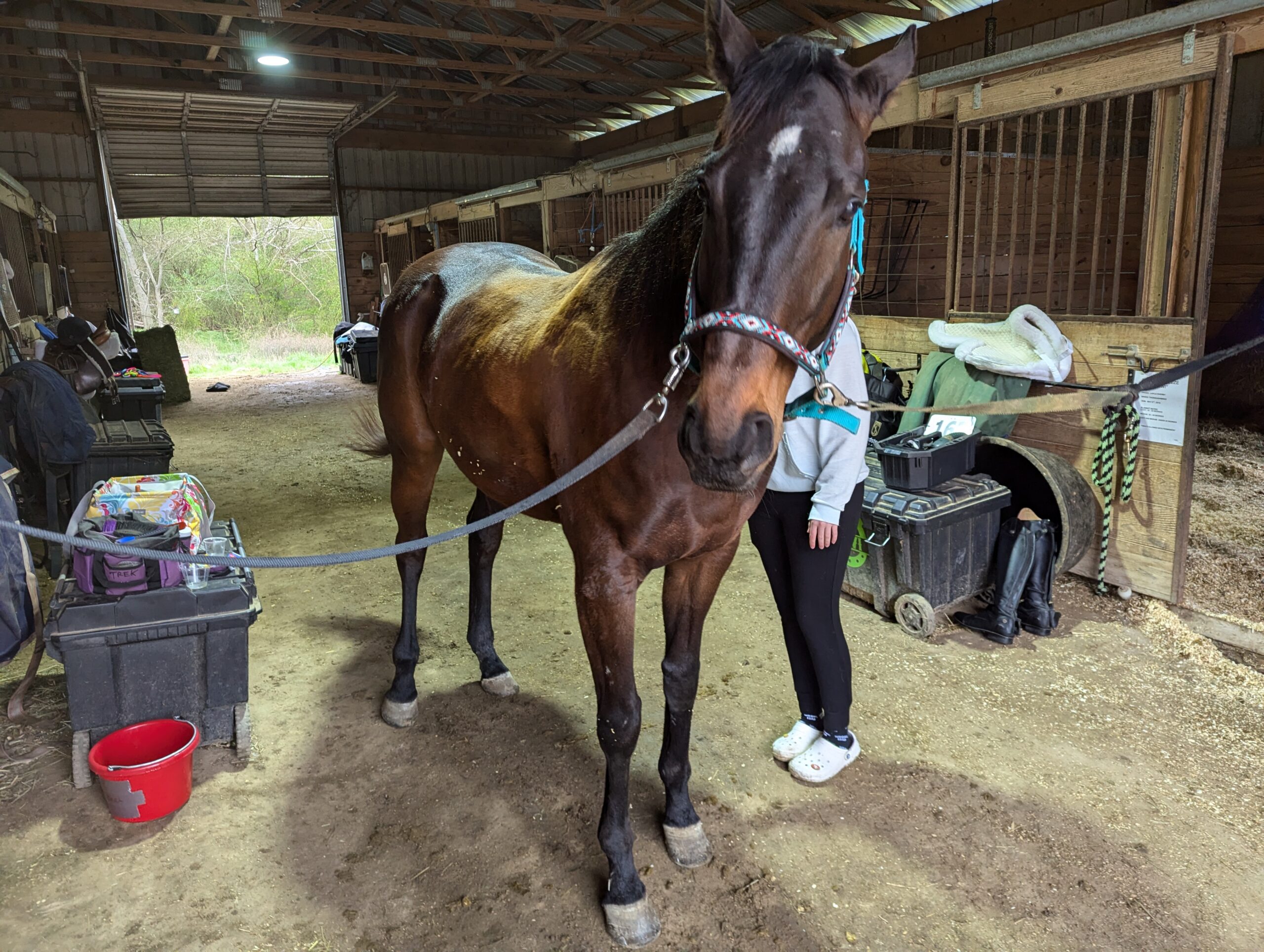 PXL_20250315_140727760