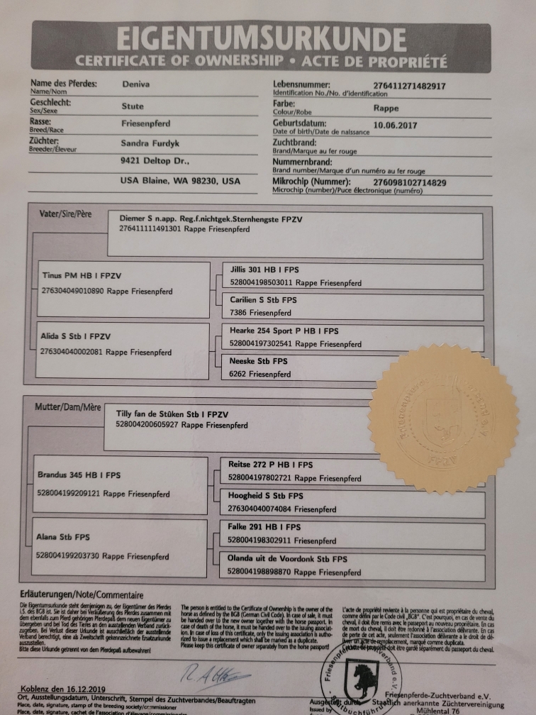 Resized_20250826_150715