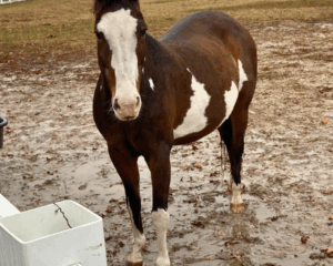 Untitled-design-2025-12-03T120041.165