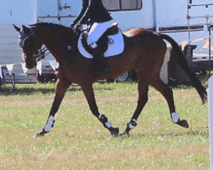 Untitled-design-2025-12-04T102859.718