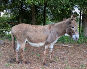 bdf8f45d-3003-4381-95b2-c18d31a74475