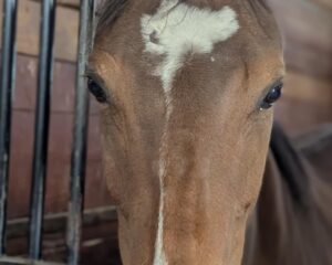 2b6cd6cb-2aa8-496d-a053-64d325ff7331