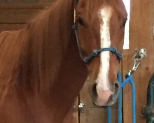 4925e16f-4ea8-4c0c-af24-b22e6d89893e