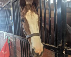 598432108_28799695129650489_5522078048640604208_n