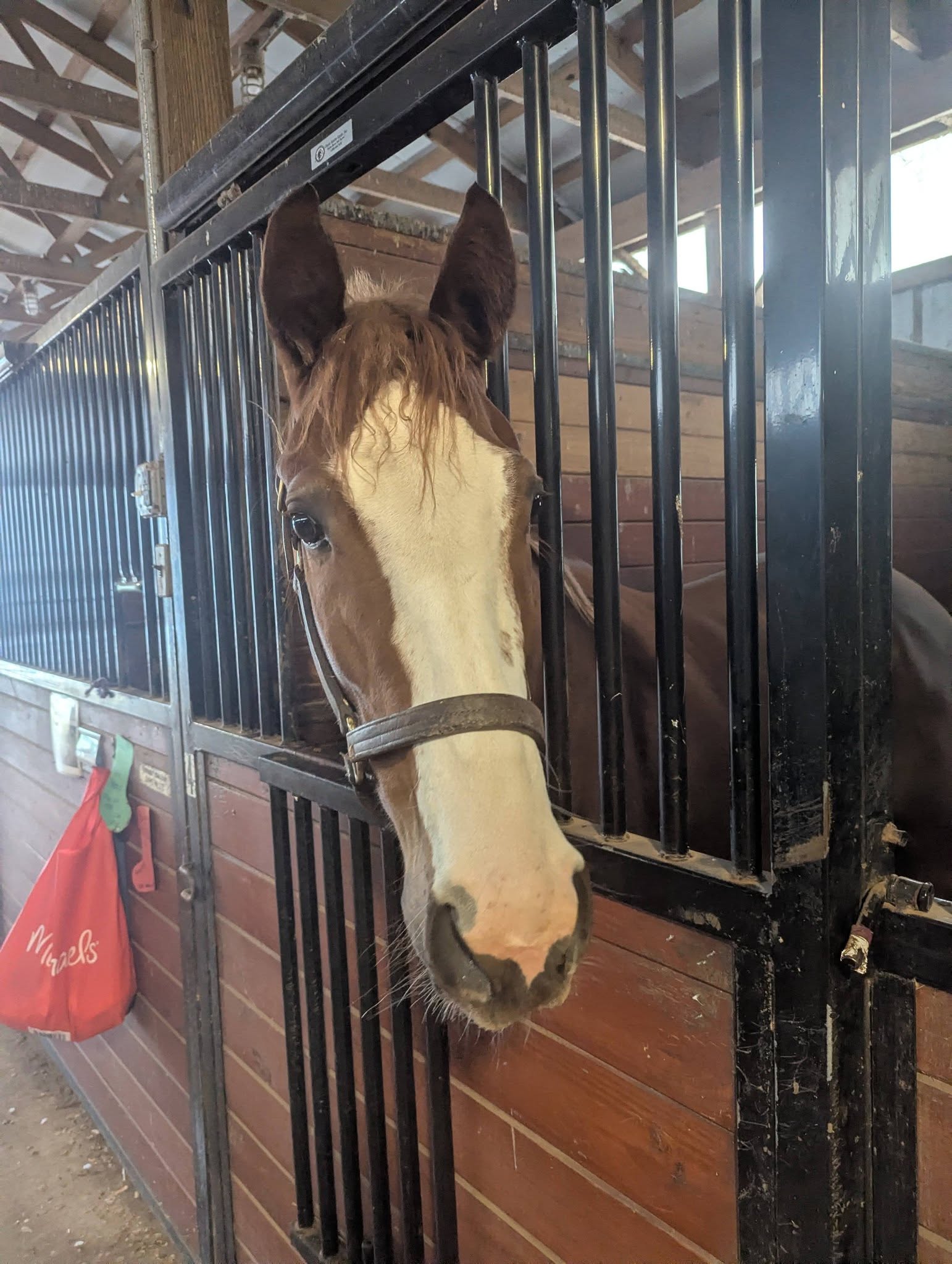 598432108_28799695129650489_5522078048640604208_n