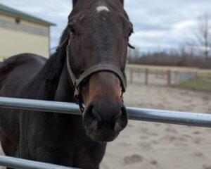 6e0bf3b0-51cb-4afe-bdf1-ab17e4430dbd