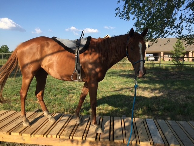 9fcf77c6-2fe8-4ca2-80e6-20c01202b332