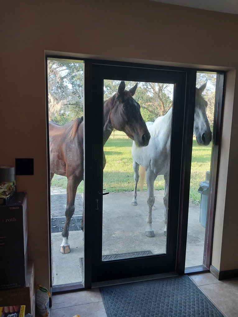 Resized_20241015_173400_1729028058143