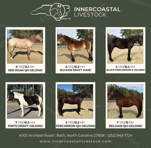 622363421_1879776935978545_3148617887297832687_n