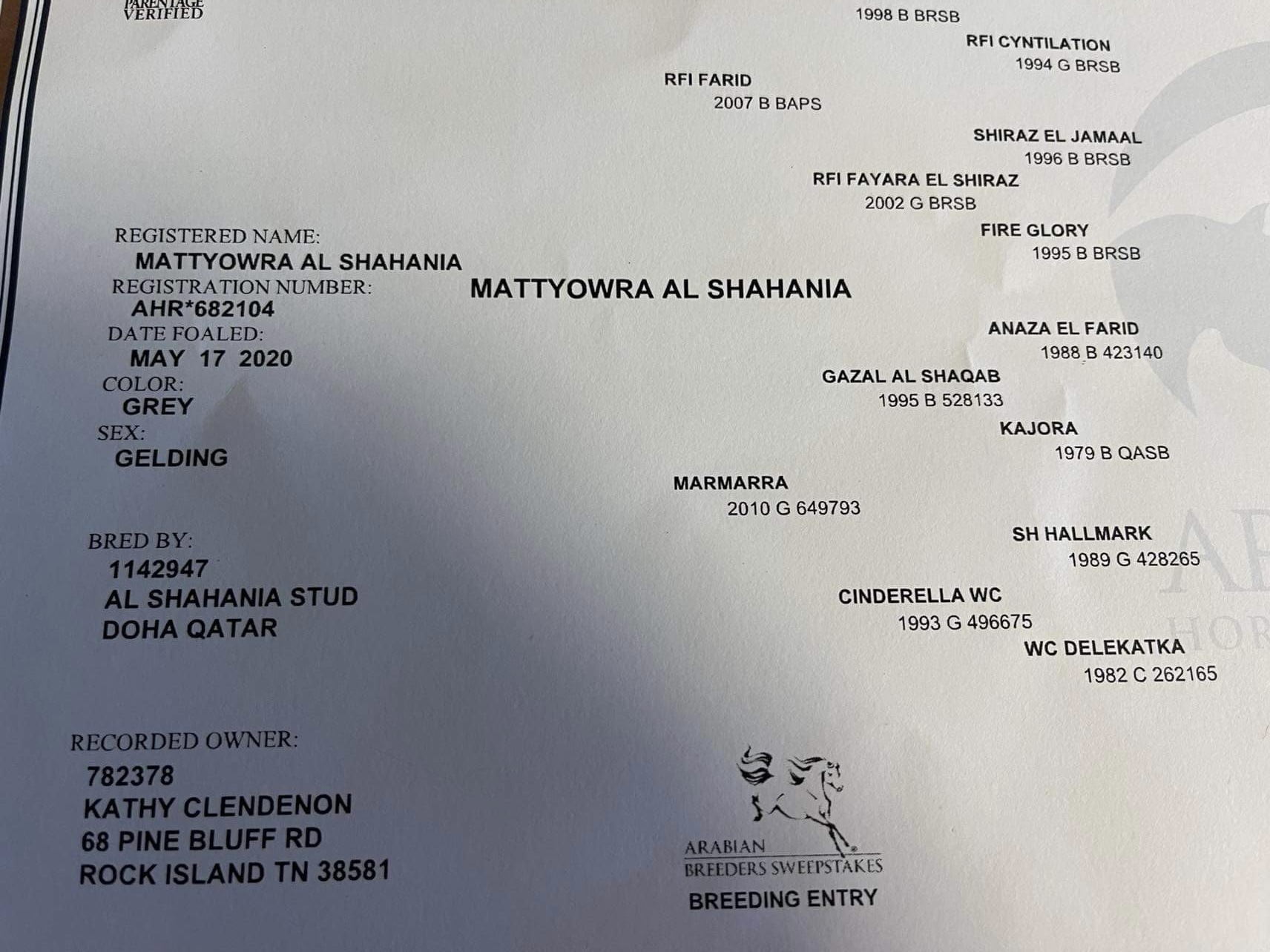 B0412B43-1078-4289-9095-787AAE1842B62023-03-11_12-50-04_206