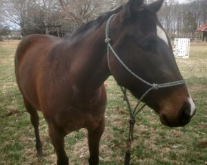 IMG_20260218_125206780_HDR