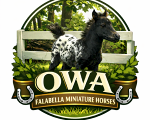 OWA-Logo