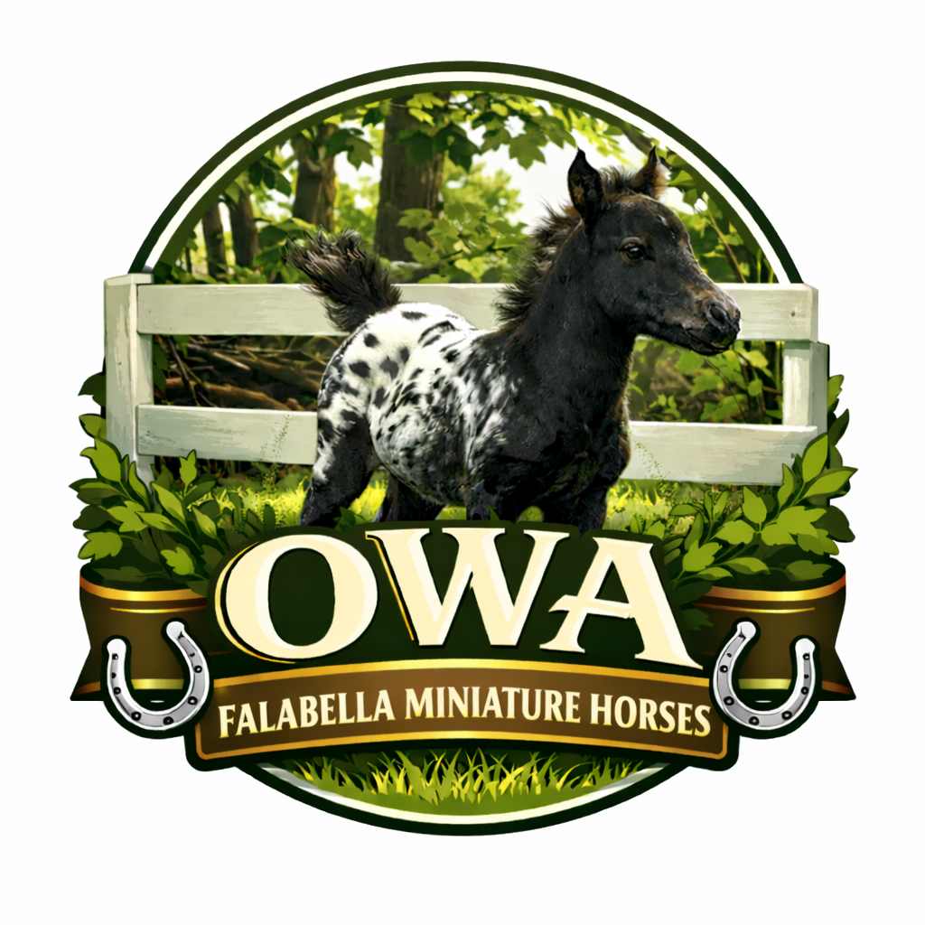 OWA-Logo