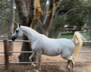 ea6b2e45-709e-4122-850d-a9e2f951b43d