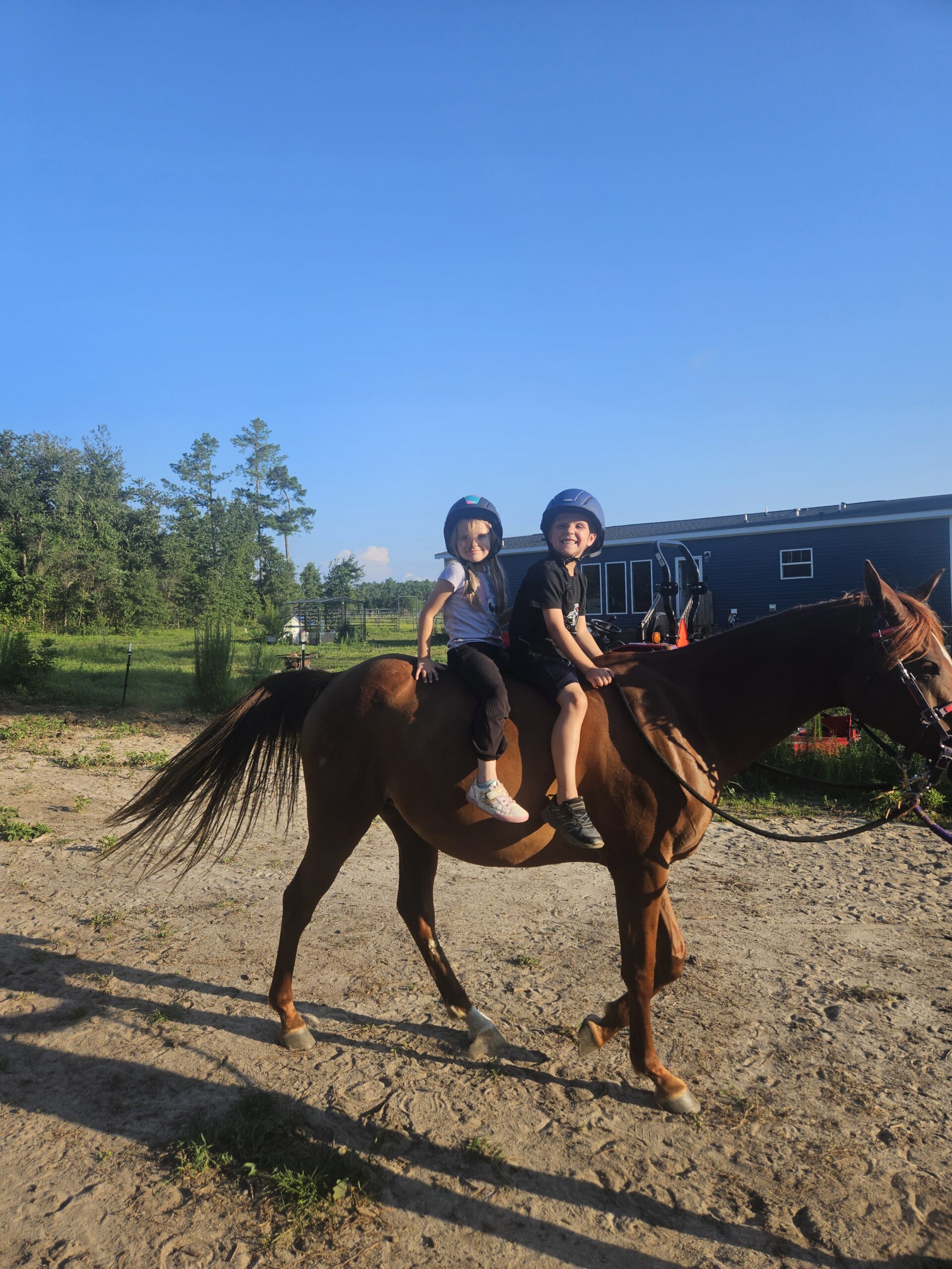 inbound4239890420538356946