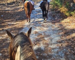 inbound6496573513380335189