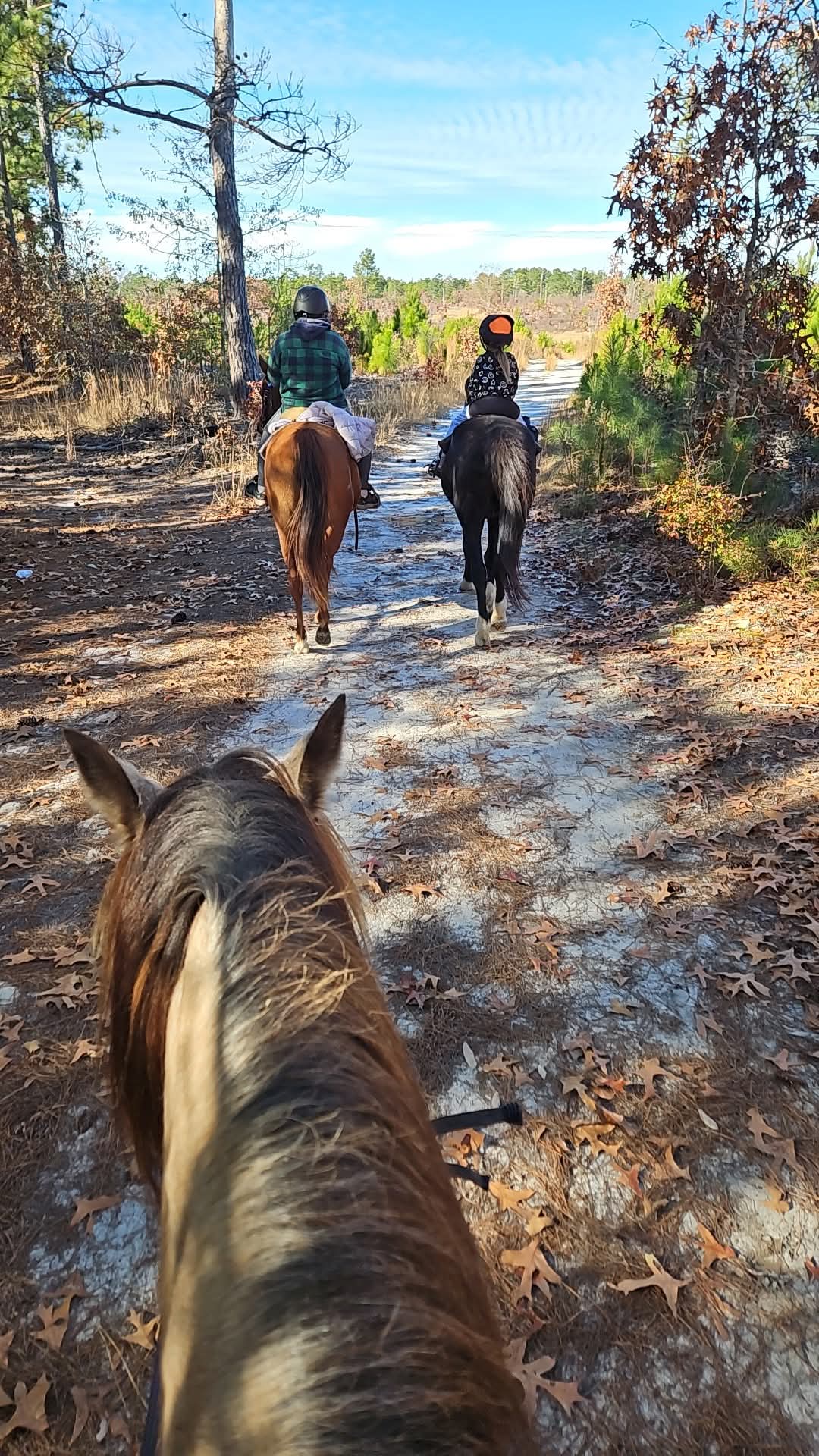 inbound6496573513380335189