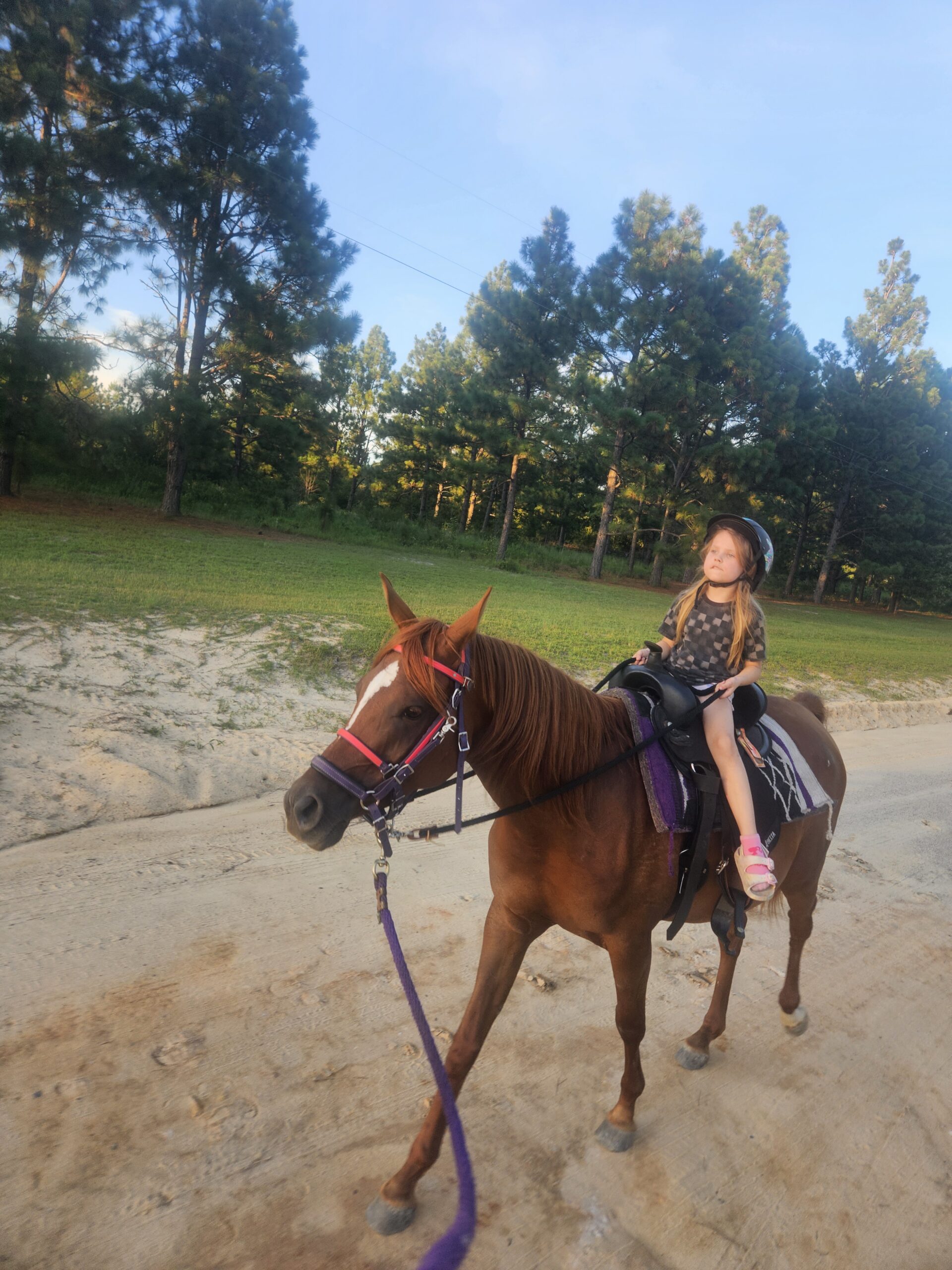 inbound6889401570132858879