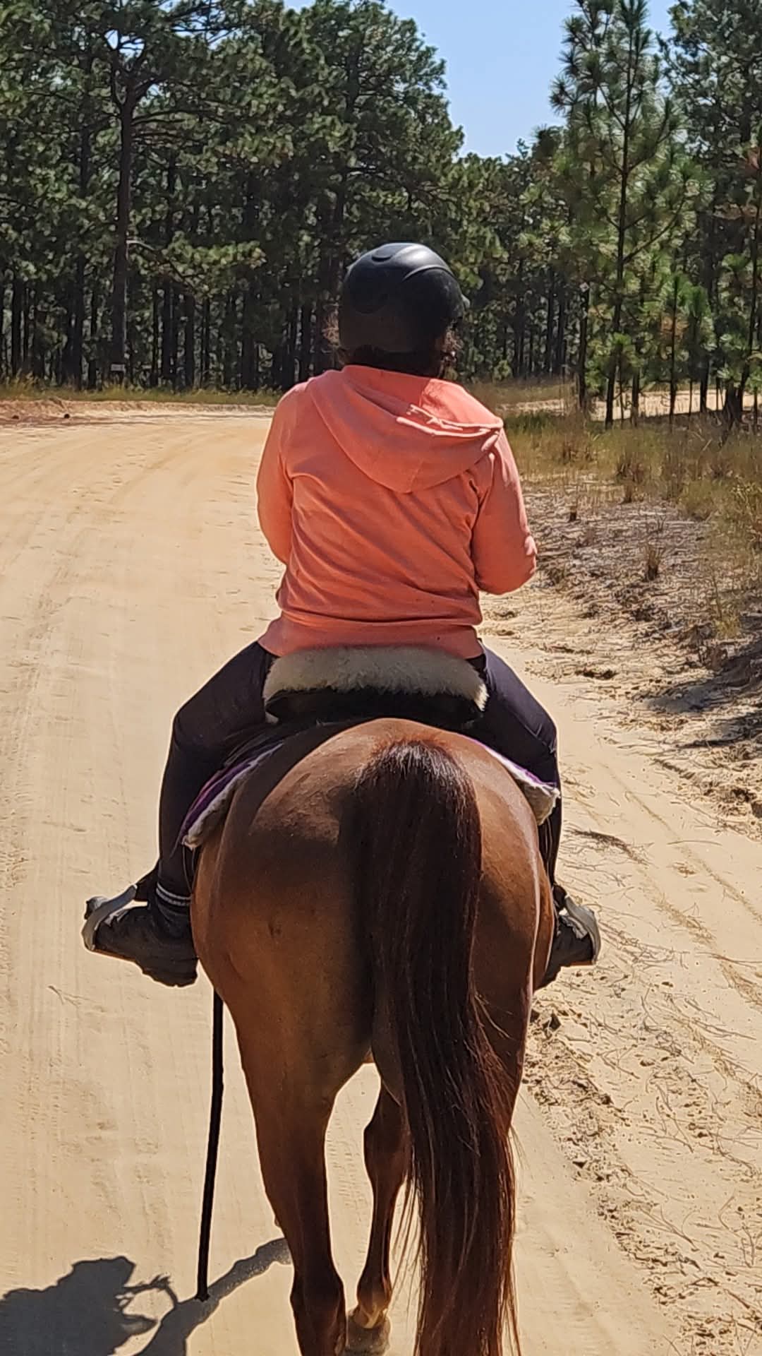 inbound7236091860275814522