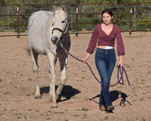 winston-being-walked