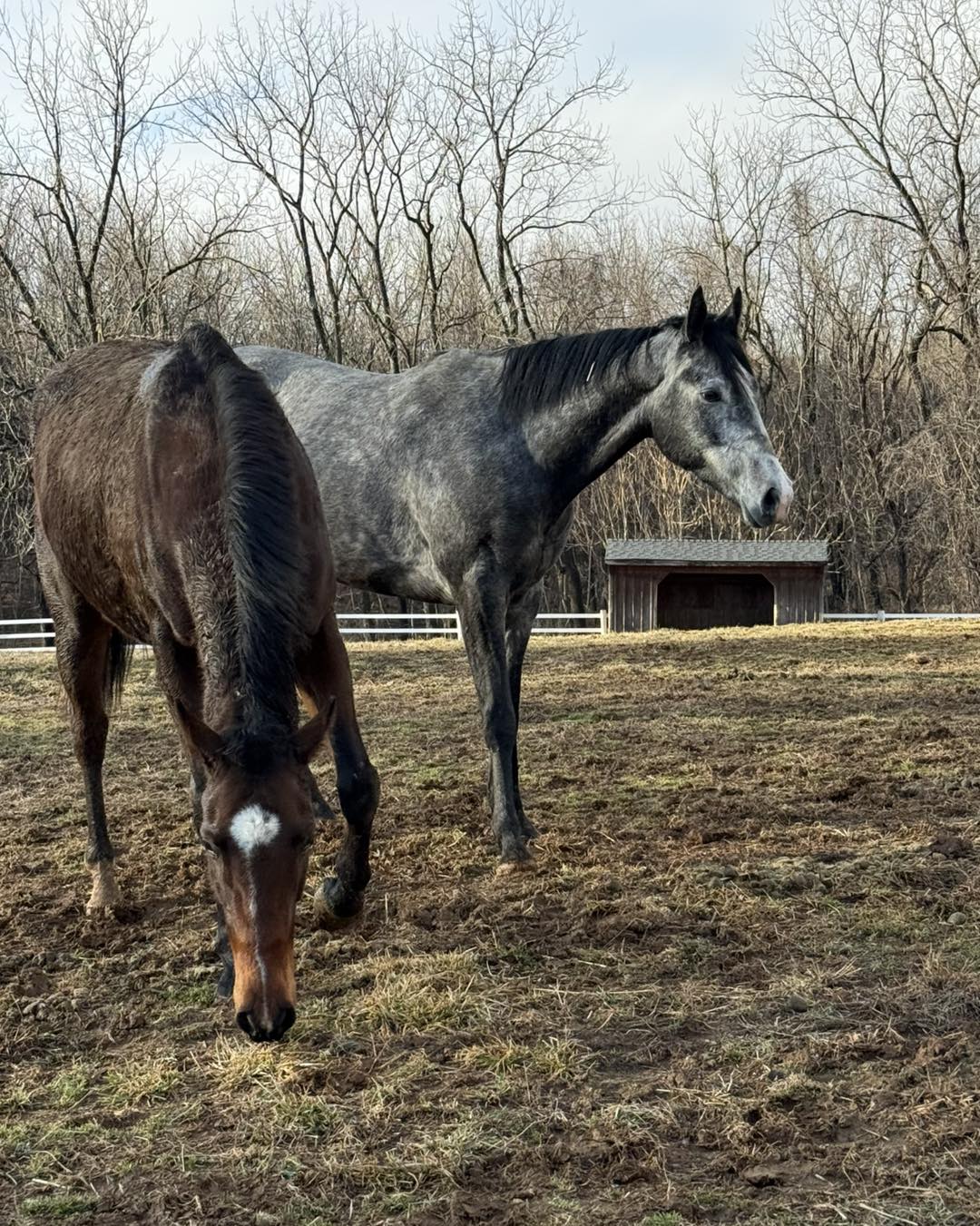 636768896_1340000951490018_206641838027684292_n