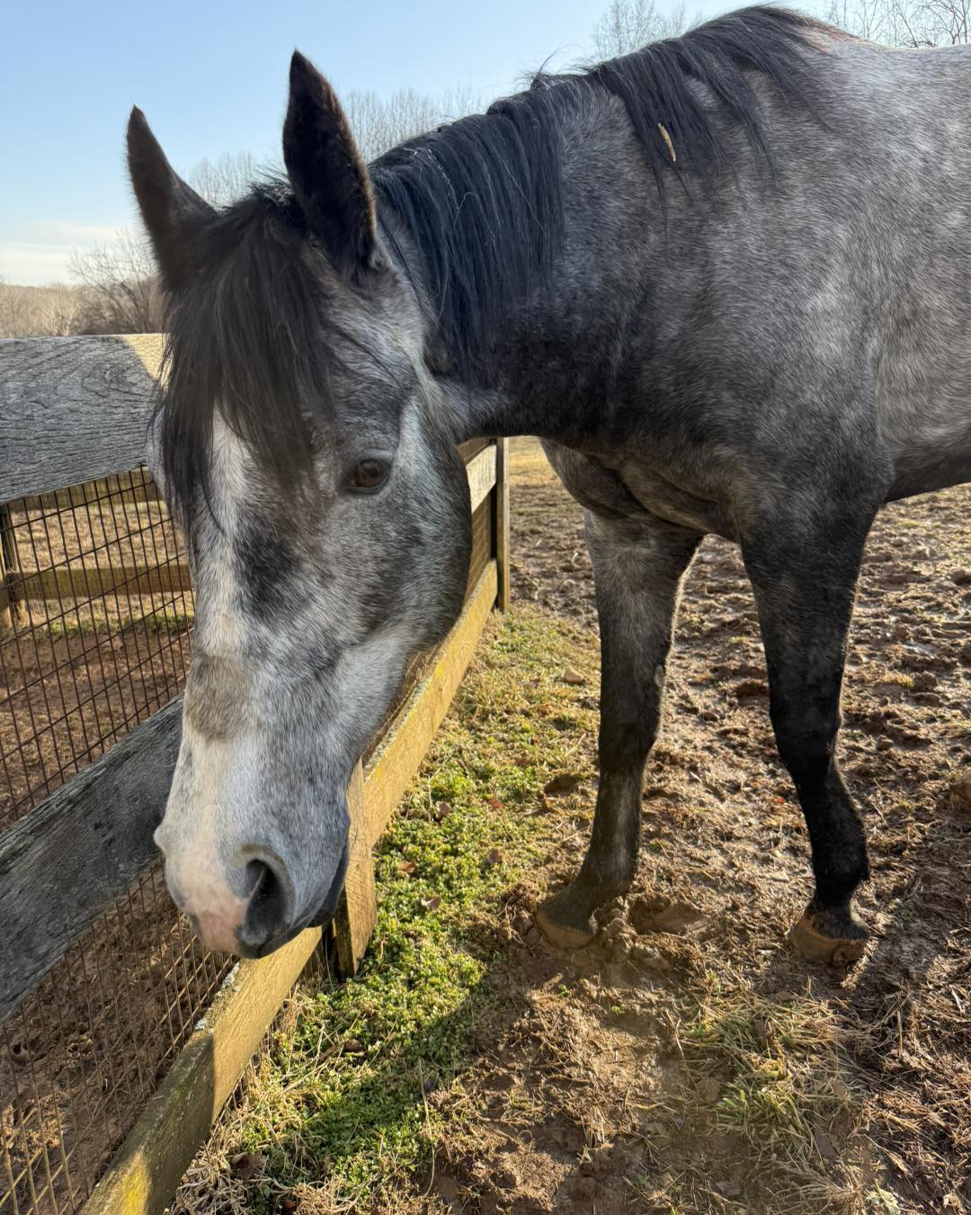 637723403_1340000908156689_3575635388272594673_n