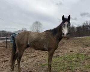 645697767_1353319390158174_2764495490223724661_n