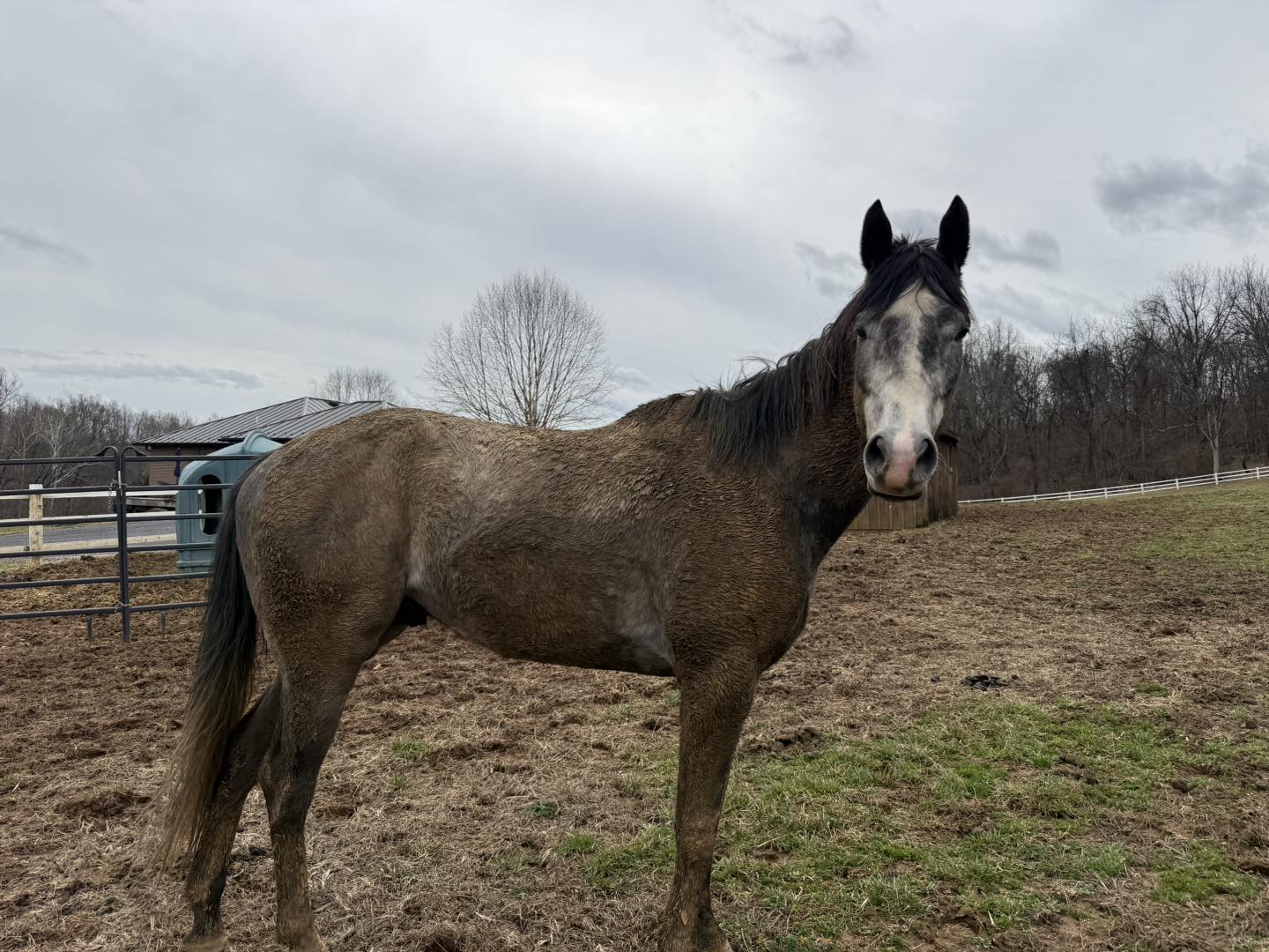 645697767_1353319390158174_2764495490223724661_n