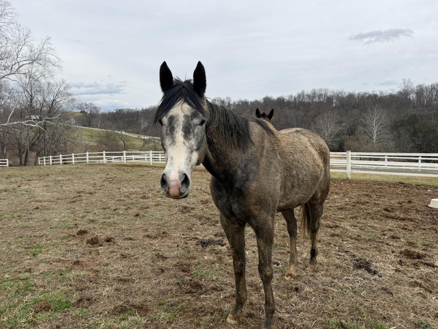 647106422_1353319393491507_3168847757362420913_n