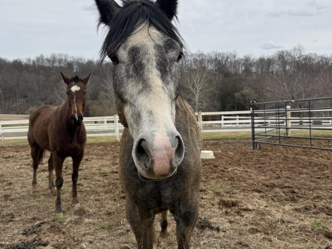 648365646_1353319386824841_6846232566957661277_n