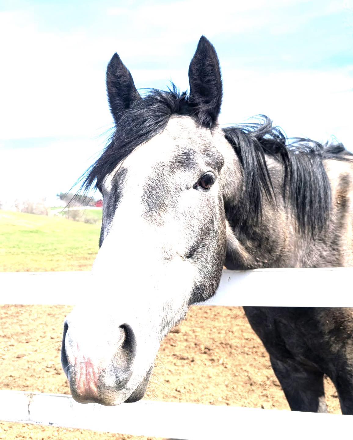 657690094_1372813258208787_2418340362590149302_n