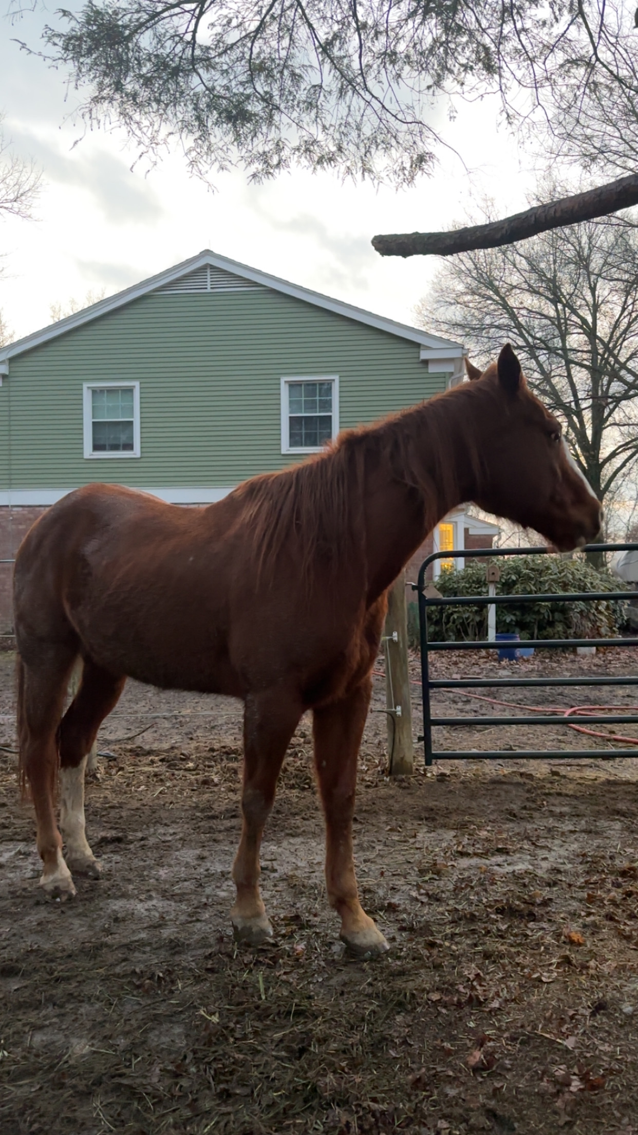IMG_1613