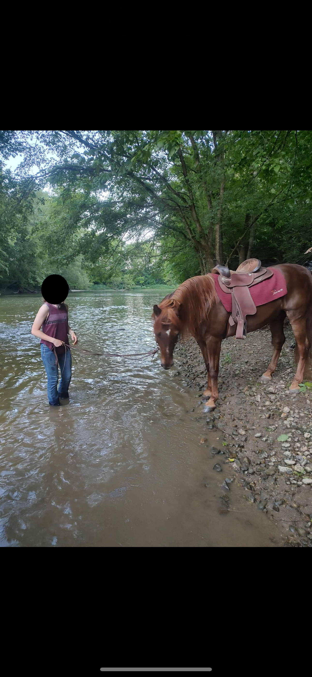Flash-trail-ride