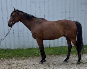 Implicitly-Left-Side