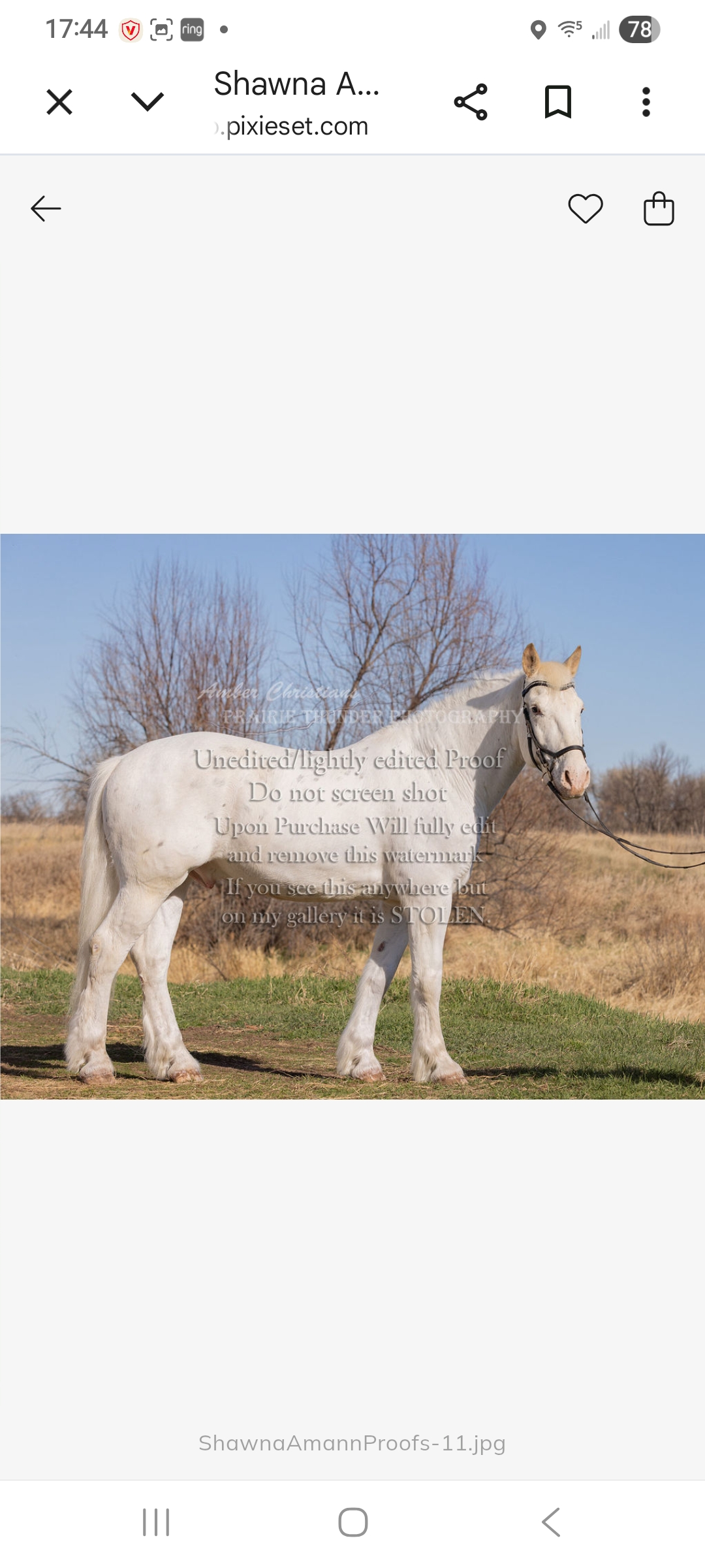 Screenshot_20260410_174419_Chrome