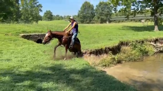 Video_1-frame-at-0m11s