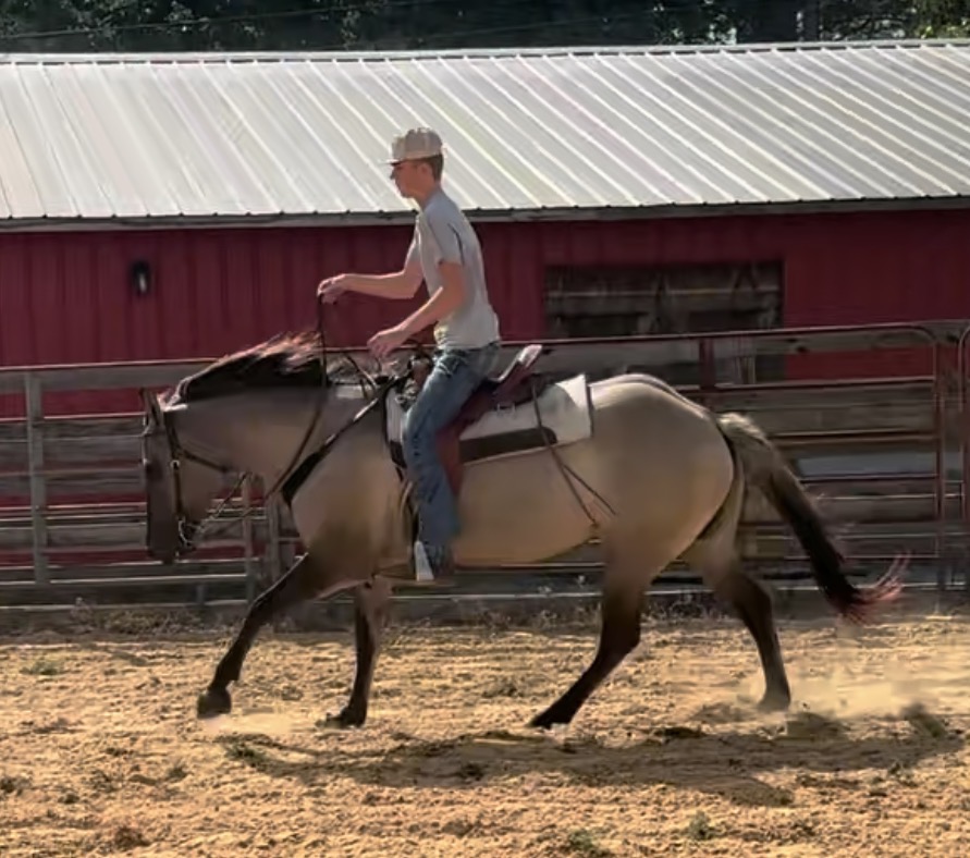 kid-canter-3