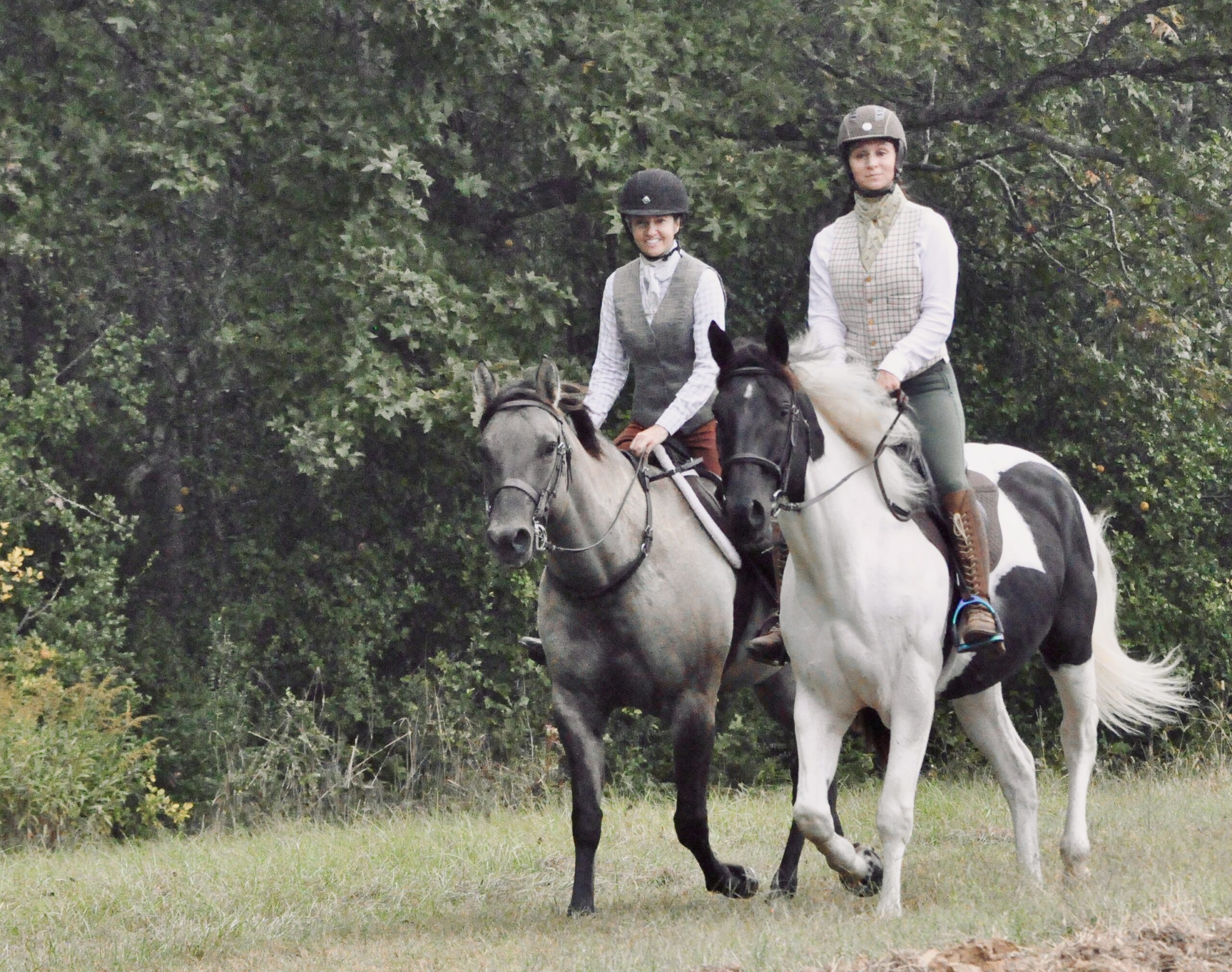 trotting-in-field