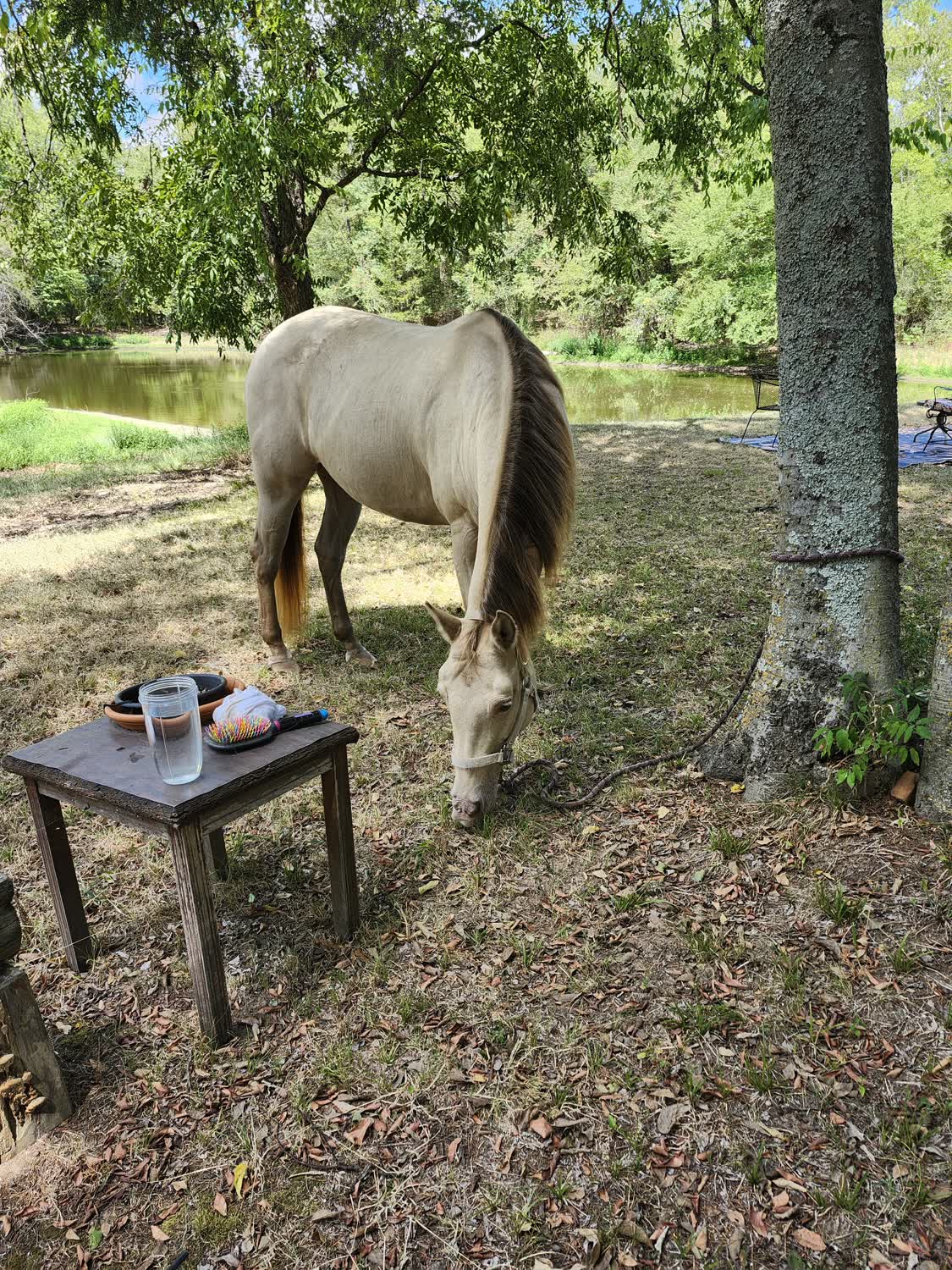 1000007731