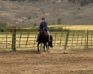 IMG_2708-2
