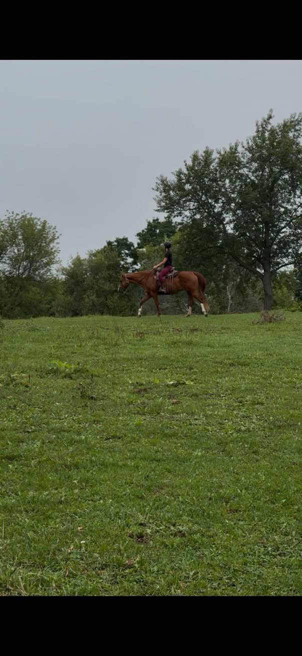 Riding-Ruby