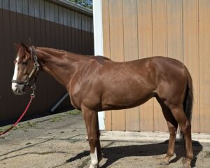 Spectacular-Luck-LSide-Conformation